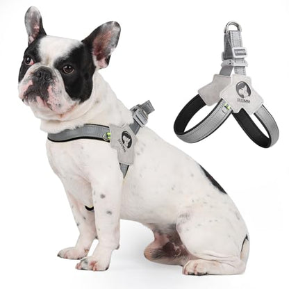 No Pull Small Dog Harness, Adjustable Puppy Soft Vest Harness with Breathable Mesh Padded, Reflective Lightweight Harness with Buckle for Extra Small Medium Dogs, Sliver-S