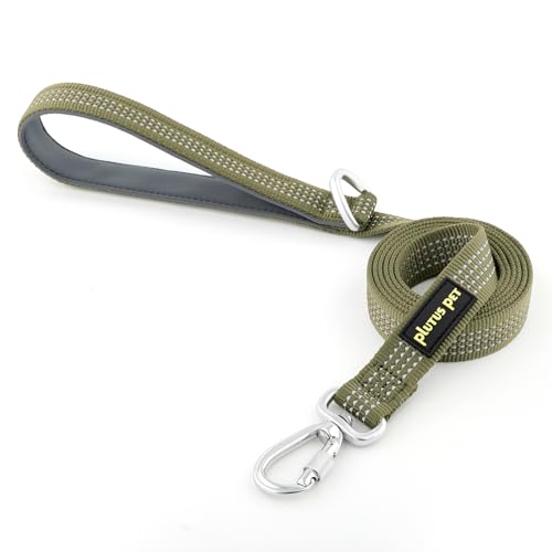 Plutus Pet Heavy Duty Dog Leash with Lockable Aluminum Carabiner, 4/6 Feet Long, Double-Sided Reflective Nylon, Padded Handle, for Puppy, Small, Medium and Large Dogs (Ranger Green, 4/5" x 4') - color: Ranger Green, size: 4/5" x 4'