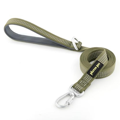 Plutus Pet Heavy Duty Dog Leash with Lockable Aluminum Carabiner, 4/6 Feet Long, Double-Sided Reflective Nylon, Padded Handle, for Puppy, Small, Medium and Large Dogs (Ranger Green, 4/5" x 4') - color: Ranger Green, size: 4/5" x 4'