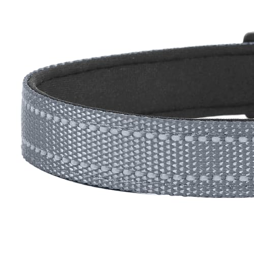 Reflective Dog Collar, Adjustable Soft Neoprene Padded Nylon Pet Collars with Buckle for Puppy and Small Dogs, Cats, Gray,XS - color: Gray, size: X-Small