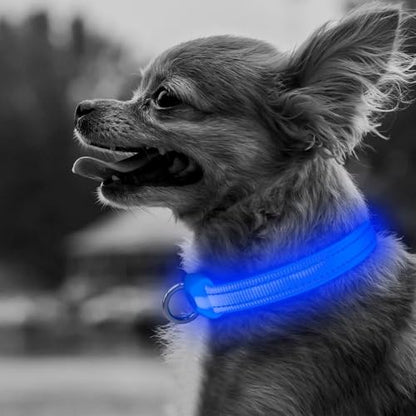 BSEEN Light Up Dog Collar, Rechargeable LED Dog Collar Reflective Glowing Pet Collar for Puppies & Cats, Safety Dog Lights for Night Walking (Blue) - color: Blue