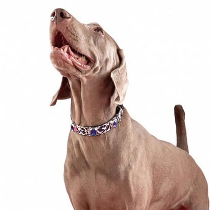 Luxury K9 Crystal Dog Collar -Waterproof Wear-Resistant Microfiber Leather with Hand-Set Rhinestone Gems, Durable Metal Buckle, Adjustable Bling Collar for Small Medium Large Dogs (Blue Leopard, M) - color: Blue Leopard, size: M(FIT,NECK:12.2"-15")
