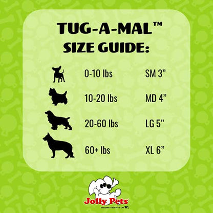 Jolly Pets Jolly Tug-a-Mal Turtle Tug/Squeak Toy, Large - color: Turtle, size: Large