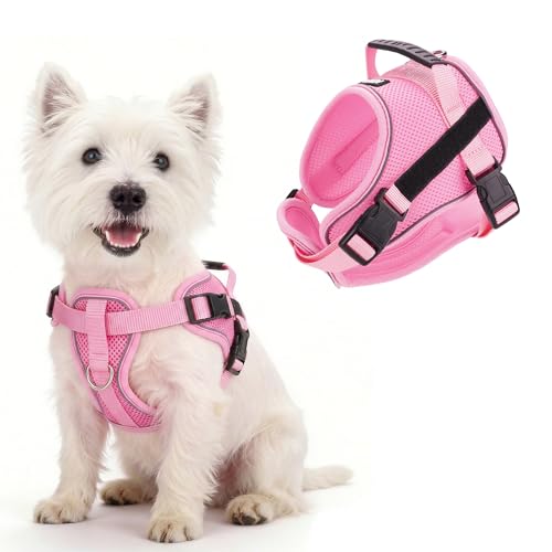 AIITLE No Pull Reflective Dog Harness with Handle - Soft Comfortable All Weather Mesh Breathable Adjustable Puppy Harness for Small Medium Dogs, Easy Control for Walking Running Camping (Pink，XS - color: Pink, size: XS