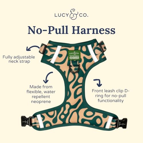 Lucy & Co. x Parks Project Geyser No-Pull Dog Harness, Adjustable Front Clip Harness with Comfort Padding, Small - color: Geyser, size: Small