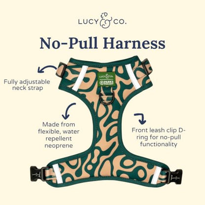 Lucy & Co. x Parks Project Geyser No-Pull Dog Harness, Adjustable Front Clip Harness with Comfort Padding, Small - color: Geyser, size: Small
