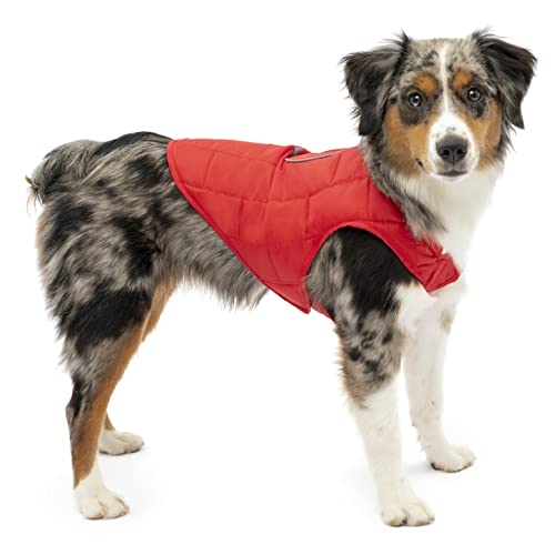 Kurgo Loft Dog Jacket - Reversible Cozy Coat for Outdoor Adventures - Water Resistant - Athletic Fit - Machine Washable Fabric - Reflective Dog Gear - X-Small - Chili Red - color: Chili Red/Charcoal, size: Extra Small