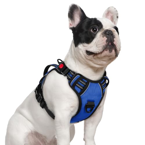 rabbitgoo Dog Harness Small Sized Dog, No Pull Pet Harness with Soft Padded Handle, Adjustable Reflective Vest with 3 Buckles, Easy Walking Harness with 2 Leash Clips, Blue, S - color: Blue, size: Small