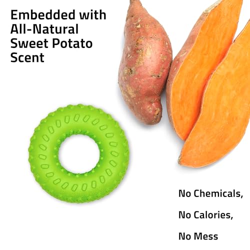 Playology Dog Toys | Dual Layer Ring Durable Dog Toy for Tough Chewers | Sweet Potato Scented Jumbo Chew Toy for Large Dogs - size: Jumbo, style: Sweet Potato