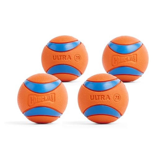 Chuckit! Ultra Ball Dog Toy - Medium Bouncy Fetch Balls for Dogs 20-60 lbs - Made from Durable Rubber - Floating Water Pet Toys - Size Medium - 2.5-inch Diameter - Pack of 48 - size: Medium (Pack of 12), style: Medium (4 Pack)