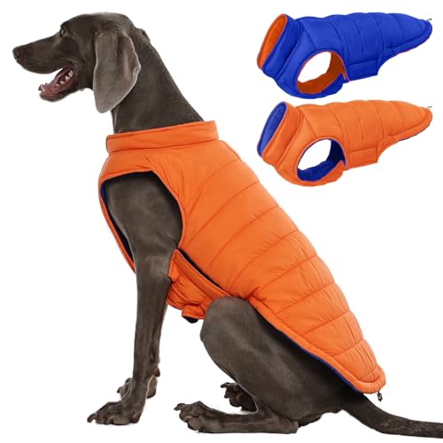 QBLEEV Reversible Dog Jacket for Large Dogs, Waterproof Windproof Winter Coat with Adjustable Hook & Loop Design, Lightweight Puffer Vest Keeps Dogs Warm & Dry, Orange, XL – Fits Pitbull, Boxer - color: Orange-Navy, size: X-Large