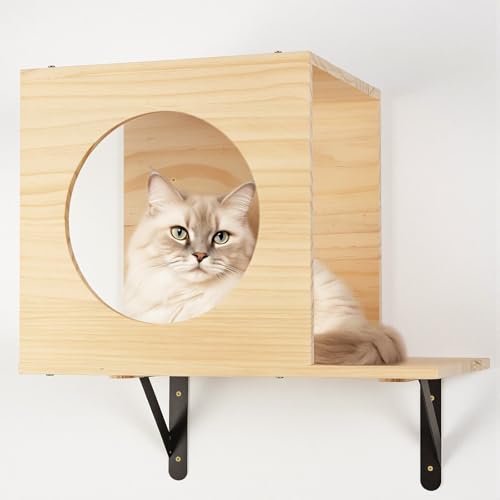 TIMIEEYA Cat Wall Shelves - Stable & Safe 5 in 1 Cat Walls Furniture Set, Wooden Kitten Climbing Wall with 1 Condos House, 1 Hammock & 3 Wall Steps - style: 5pcs with Hammock