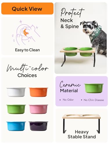 Elevated Dog Bowls, Raised Dog Bowl Stand with Two 6.5 inch Ceramic Bowl, Non-Slip Puppy Food and Water Bowls, Dogs Feeder for Small and Medium Breed,Green - color: Green, size: 6.5inch