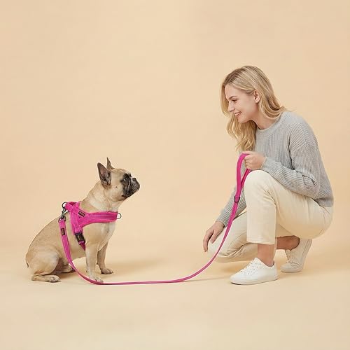Didog Soft Flannel Padded Dog Vest Harness, No Pull/Quick Fit Reflective Dog Strap Harness, Easy for Training Walking (XS:Chest 15-18", Hot Pink) - color: Hot Pink, size: XS:chest 15-18"