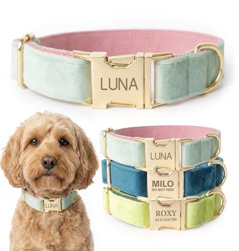 Dog Collar Personalized with Name Engraved - Light Gold Quick Release Buckle, Soft Velvet Lined, Comfortable Gift for Small, Medium, Large Dogs - color: Mint Green, size: M