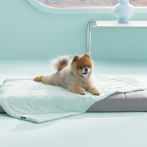 Bedsure Premium Cooling Blanket for Small Dog - Q-MAX>0.5, Breathable Summer Washable Cold Pet Throw Blanket, Soft Durable Self Cooling Cat Mat for Hot Weather, Turquoise Green, 25x35 - color: Turquoise Green, size: S(25x35")