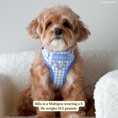 Lucy & Co. Silly Goose No-Pull Dog Harness, Adjustable Front Clip Harness with Comfort Padding, Small - color: Silly Goose, size: Small