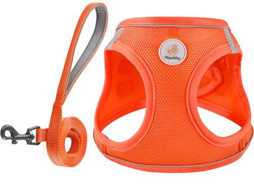 Dog Harness and Leash Set, No Pull Soft Mesh Puppy Harness for Small Medium Dogs, Cats - Step in Reflective Breathable Lightweight Vest Harness for Walking, Training - Orange, S - color: Orange, size: S (Chest: 15.5"-17")