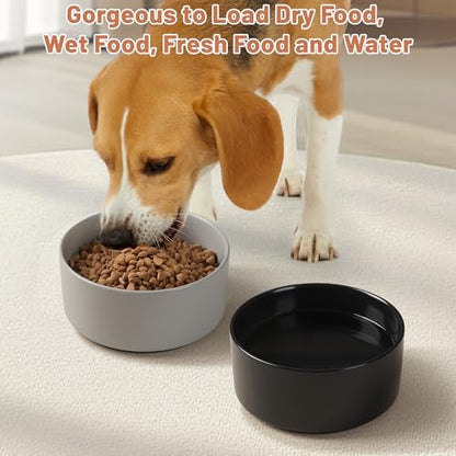 Ceramic Dog Bowls, Non Slip Dog Food and Water Bowl with Silicone Base, Heavy Duty Feeding Bowl for Small and Medium Dogs (Grey, 6 Inches) - color: Grey, size: 6 Inches