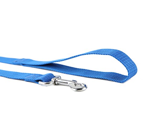 Nylon Dog Training Leash, Traction Rope, 4/5/6 Feet Long, 3/4 Inch 1 Inch Wide, for Small and Medium Dogs (1'' x 4 FT, Blue) - color: Blue, size: 1'' x 4 FT
