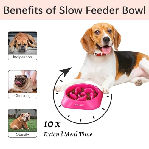 MateeyLife Slow Feeder Dog Bowls 2PCS, Anti-Choking Puzzle Dog Food Bowls, Anti-Slip Interactive Feeding Slow Down Eating, Bloat Stop Maze Dishes for Medium Breeds Pink&Purple - color: D-Pink&Purple, size: Medium