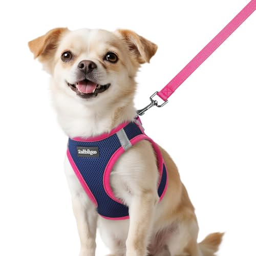 rabbitgoo Dog Harness Small Sized and Leash Set, Step-in Breathable Pet Harness, Soft Walking Reflective Puppy Vest for Small Dogs, Blue & Rose Red, XXS - color: Blue & Rose Red, size: XXS (Chest: 12.4 - 14.2")