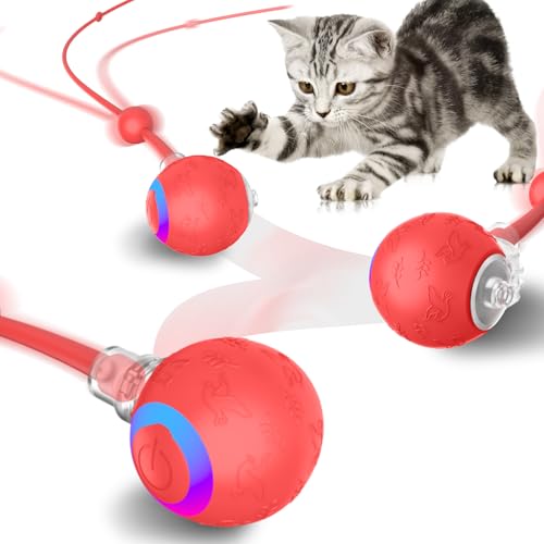 Smart Interactive Cat Dog Toys, Automatic Pet Toys for Bored Indoor Cats and Dogs, Motion Activated, USB Rechargeable, Christmas Pet Birthday Gifts (Red) - color: Red