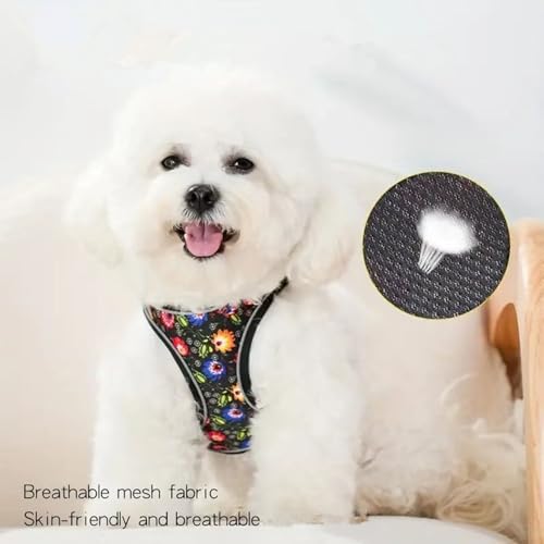Step in Dog Harness No Pull Flower Adjustable Soft Mesh Padded Reflective Pet Vest Harness and Leash Set for Small Medium Dogs - color: Black, size: XXS(neck:8.5"-9.5",chest:10"-11.5")