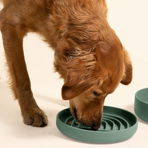 Should We Go? Slow Feeder for Dogs & Puppies, The Slowdown Bowl Silicone Slow Eating, Modern Lick Mat Design, Reduces Gulping, Fits 2.5 Cups, 9.5” Across x 1.5” Tall, Mealtime Challenge, Large-Spruce - color: Spruce - Rainbow Design, size: Large (9.5” Acr