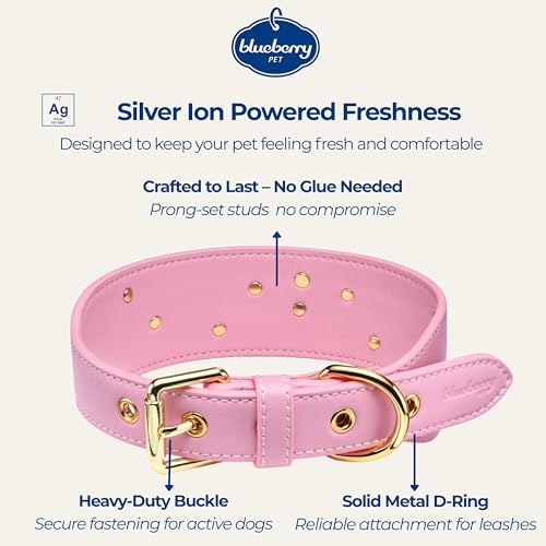 Blueberry Pet Premium Embossed Pink Glam Silver-Powered Freshness Microfiber Leather Dog Collar with Gold Studs - color: Pink, size: Medium