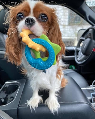 Nylabone Teething Rings Puppy Power Chew Toy for Puppies, Soothing Puppy Teething Bone, Enrichment Toy for Puppies, Bacon Flavor, Small Dogs - Up to 25 Ibs, 1 Count - color: Rings