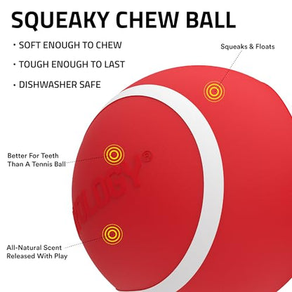 Playology Dog Toys | Squeaky Chew Ball - Bouncy Durable Floating Fetch Ball for Dogs | Medium Beef Scented Toy - Easy to Clean and Made from Non Toxic Materials - size: Medium, style: Beef