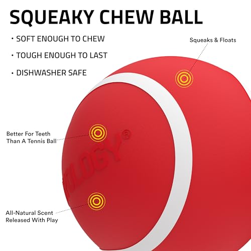 Playology Dog Toys | Squeaky Chew Ball - Bouncy Durable Floating Fetch Ball for Dogs , Value 3-Pack | Small Beef Scented Toy - Easy to Clean and Made from Non Toxic Materials - size: Small (VALUE 3-Pack), style: Beef