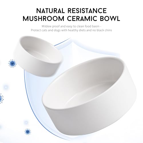 Mowtanco White Ceramic Dog & Cat Bowl Set – 13.5 OZ with Wooden Stand, Non-Slip, Elevated Design for Small Dogs & Cats – 2 Bowls (Food & Water, Ceramic Pet Bowls, Modern Dog Bowls) - color: White × 2