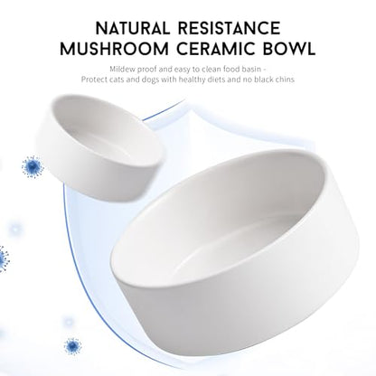 Mowtanco White Ceramic Dog & Cat Bowl Set – 13.5 OZ with Wooden Stand, Non-Slip, Elevated Design for Small Dogs & Cats – 2 Bowls (Food & Water, Ceramic Pet Bowls, Modern Dog Bowls) - color: White × 2