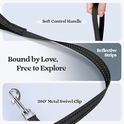 rabbitgoo Dog Harness Small Medium Sized and Leash Set, Step in Soft Light Puppy Vest, Breathable Mesh Pet Harness, Reflective for Safe Easy Walking, Black L - color: Black, size: L (chest: 18.2 - 20.5")