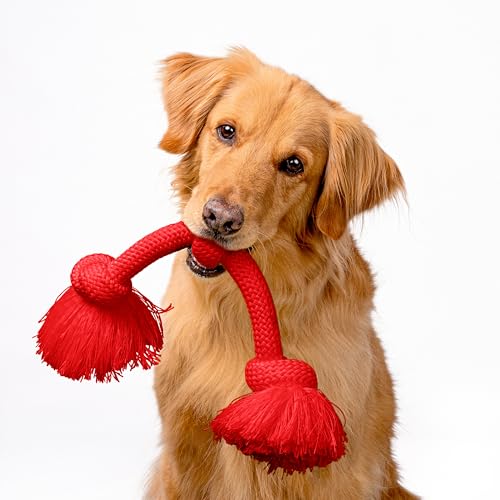 Playology Dog Toys | Dri-Tech Rope Toy Tug of War Rope for Aggressive Chewers | Jumbo Beef Scented Toy - Easy to Clean and Made from Non Toxic Materials - size: Jumbo, style: Beef