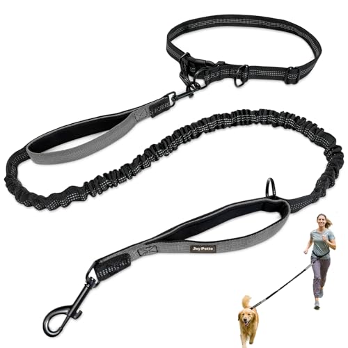 4-6 FT Hands-Free Dog Leash for Running & Walking - Adjustable Waist Belt (28-47"), Shock-Absorbing Bungee, 2 Reinforced Handles, Reflective & Anti-Pull for Small/Medium Dogs, Grey - color: Grey