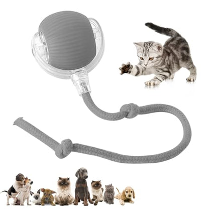 Chewie Viral Rolling Pet Ball, Interactive Cat & Dog Toy, 360 Smart Automatic Rolling Ball (Grey) - color: grey
