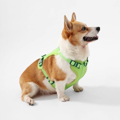 HNS1002B Arlo Medium Adjustable Soft Padded No Pull Pet Harness with 3 Buckles and 3 Leash Clips, Mojito - color: Light Green, size: Medium (Chest: 18 - 28")