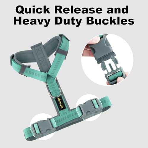 Plutus Pet No Pull Dog Harness, Adjustable Nylon Harness with Soft Padding, Reflective and Heavy Duty Dog Harness for Small, Medium, Large Dogs(Teal, XS) - color: Teal, size: XS
