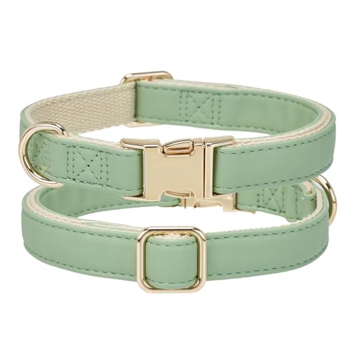 Soft Classic Leather Dog Collar Heavy Duty Padded Collars with Metal Buckle for Puppy Small Medium Dogs (Grass Green,S) - color: Grass Green, size: Small