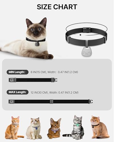 Cat Collar with Name Tag Breakaway: Kitten Collars with QR Code ID Tag for Girl Boy Cats, Ultra Soft & Elastic Adjustable (6"-12") Cat Collar with Break Away Safety Buckle, Black