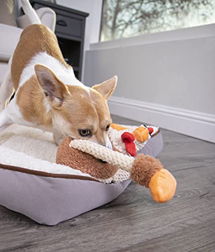 goDog Checkers Skinny Rooster Squeaky Plush Dog Toy, Chew Guard Technology - Brown, Small - color: Checkers - Skinny Rooster (Brown), size: Small