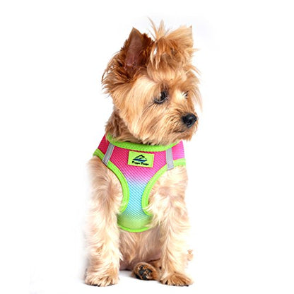 DOGGIE DESIGN American River Dog Harness Ombre Collection - Rainbow XS - color: Rainbow, size: X-Small