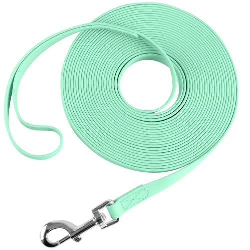Waterproof Long Leash Durable Dog Recall Training Lead Great for Outdoor Hiking, Training, Yard, Beach and Swimming (Light Green, 30ft) - color: Light Green, size: 30ft