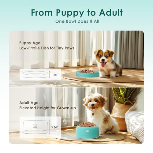 PAWGETHER® Stainless Steel Dog Bowls, Dog Food Water Bowl with Non-Slip Base Two-Piece Design Easy Clean Dishwasher Safe Mint Green 34oz + 12oz - color: Mint Green (34oz + 12oz)