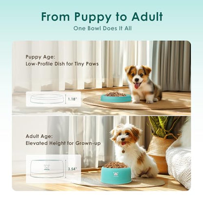 PAWGETHER® Stainless Steel Dog Bowls, Dog Food Water Bowl with Non-Slip Base Two-Piece Design Easy Clean Dishwasher Safe Mint Green 34oz + 12oz - color: Mint Green (34oz + 12oz)