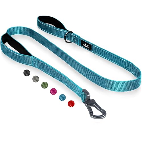 TwoEar 5FT 1IN Strong Blue Dog Leash with 2 Padded Handles, Traffic Handle Extra Control, Comfortable Soft Dual Handle, Auto Lock Hook, Reflective Walking Lead for Small Medium and Large Dogs - color: Blue, size: 1 in x 5 ft