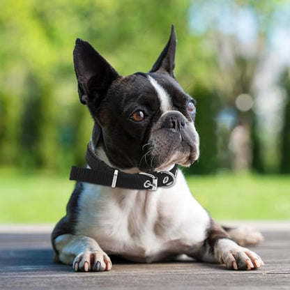 Adjustable Soft Pet Collar with Alloy Buckle Black Small Foam Puppy and Kitten Neck Collar for Dogs and Cats with Bell
